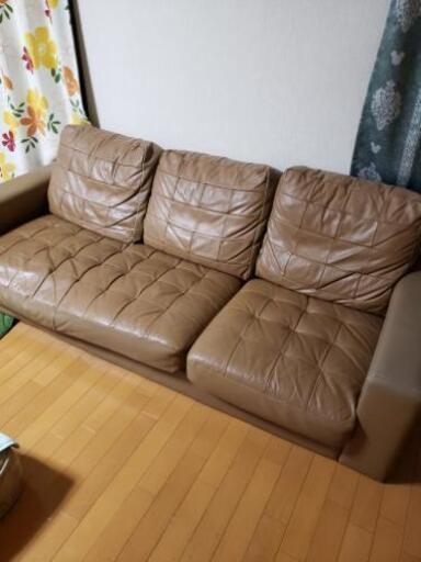 3月1日までソファー