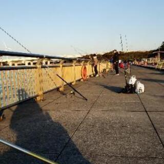 東扇島西公園釣り❗