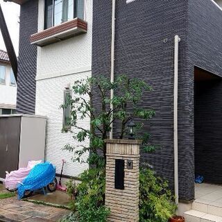剪定、伐採、草刈など庭木の事はお任せください【非喫煙】 - 地元のお店