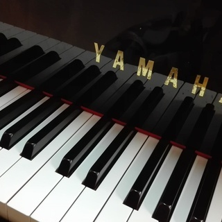 piano trio が組みたい！