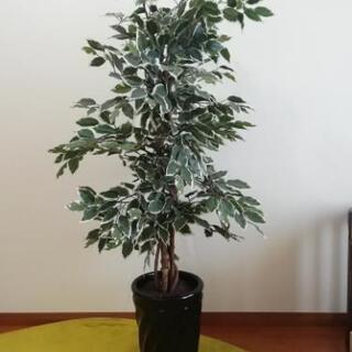 光触媒の観葉植物のオブジェの画像
