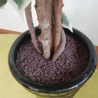 光触媒の観葉植物のオブジェの画像