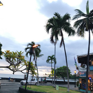 フラダンスに挑戦してみませんか🌴の画像