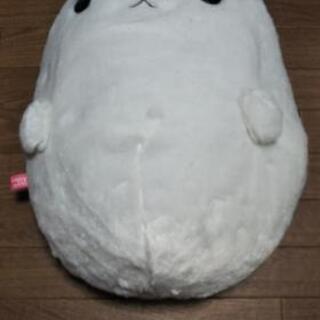 うさぎ500円で売ります🐤の画像