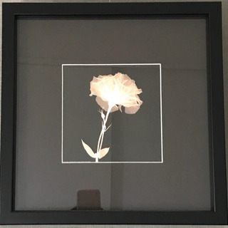 フラワー レントゲン 写真 X線 X-ray②
