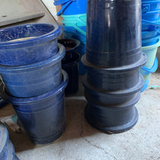 青鉢大きい方の画像