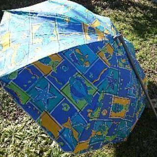 【決まりました 】ビーチパラソルの画像