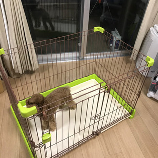 ペット　ゲージ　組みたてタイプ「決まりました」