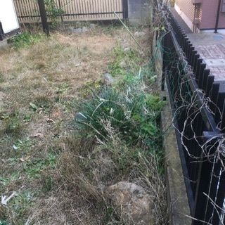 花壇貸します。家庭菜園にいかがでしょうか