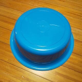 たらい 中の画像