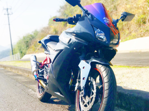 カワサキ Kawasaki  ninja 250r