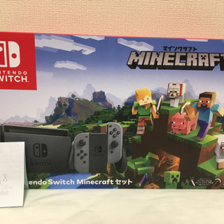 Nintendo Switch  グレー マインクラフト同封限定版
