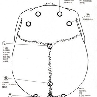 未経験大歓迎！整体技術教えます！の画像