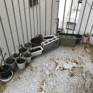 植木鉢各種　園芸用土　その他の画像