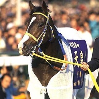 競馬仲間募集(*^^*) 