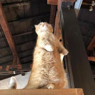 気軽にご飯でも！
