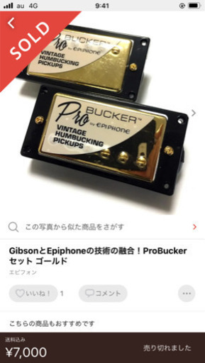 Grass Rootsレスポール