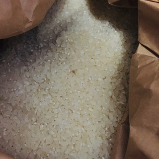 古米  約10キロ【お取引予定】