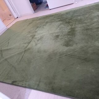 グリーンカーペット(中古 無料)の画像