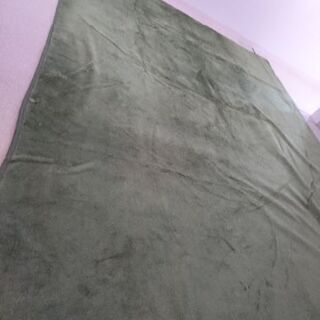 グリーンカーペット(中古 無料)の画像