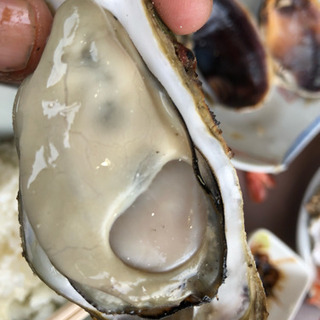牡蠣の食べ放題 - 松阪市