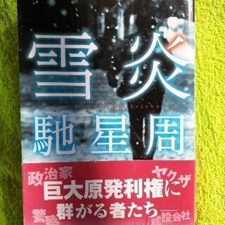 美品、馳星周の雪炎