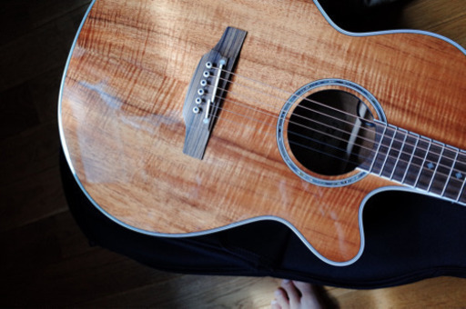 TAKAMINE エレアコ　PTU131KC N