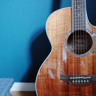 TAKAMINE エレアコ　PTU131KC N