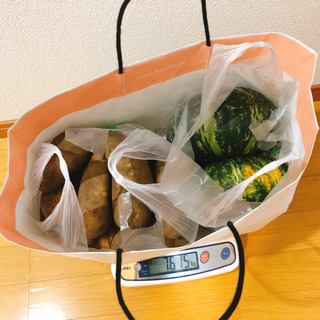 値下げ🔴７.６キロ 北海道産 産地直送 野菜セット　有機栽培の画像