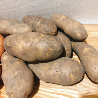 値下げ🔴７.６キロ 北海道産 産地直送 野菜セット　有機栽培の画像