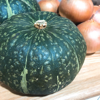 値下げ🔴７.６キロ 北海道産 産地直送 野菜セット　有機栽培の画像