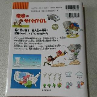 竜巻のサバイバル : 生き残り作戦の画像