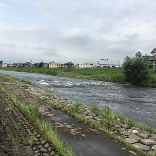 釣人会 メンバー募集  試しにゲスト参加して見て下さい。 - その他