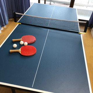 卓球台