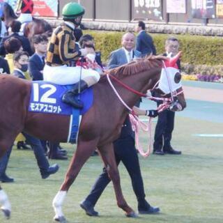 競馬場観戦オフ会IN中山競馬場(3/22日曜)
