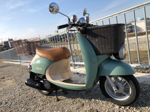 ビーノ モルフェ 買い物に 最強の積載性！