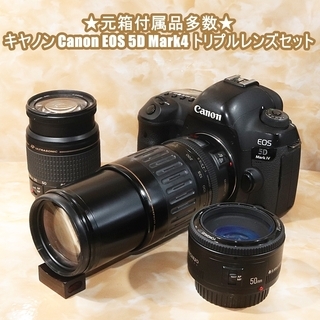 ★元箱付属品多数★キヤノン Canon EOS 5D Mark4...