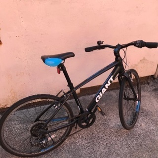 子供用クロスバイク GIANT ESCAPE JR24