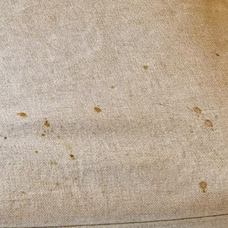 無料であげます。イケアの椅子2脚　ホワイト（やや汚れ）の画像