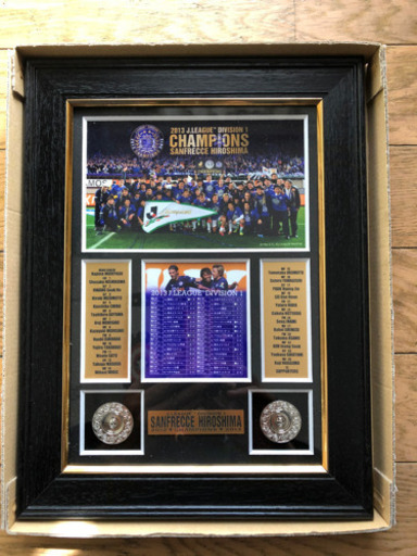 [サンフレ]サンフレッチェ広島 2013優勝