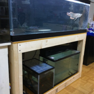 120センチ　アクリル 水槽