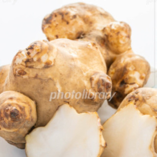 菊芋 無農薬 有機栽培 オーガニック 便秘改善 糖尿病改善 ダイ...