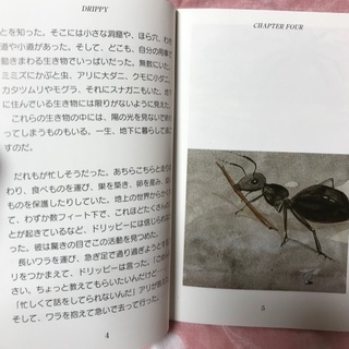 英会話を始めたい方☆イングリッシュ・アドベンチャー（家出のドリッピー）の画像