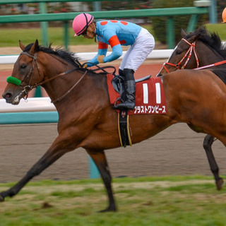 競馬仲間募集中☆