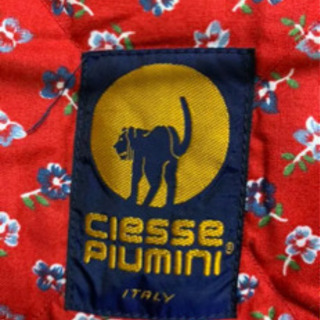 イタリア製　チェッセピューミニ　CIESSE PIUMINI アルパカ　ダウンの画像