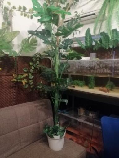 フェイクグリーン、造花、植物、インテリア