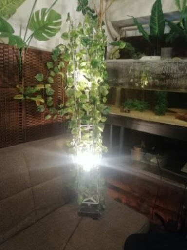 間接照明