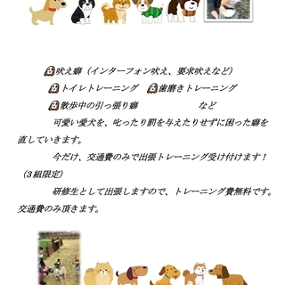 【現在残り1組】愛犬の吠えや噛み、しつけ等でお困りの方、3組限定...