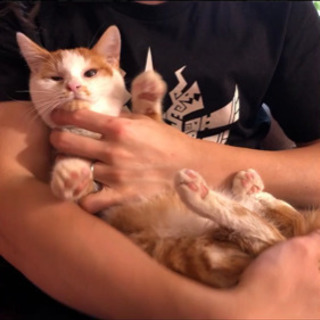 一旦募集中止します