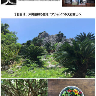 沖縄ヨガリトリート 2020! 大自然のパワーを感じながら本当の自分を取り戻す。の画像